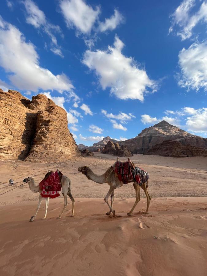 Desert Jewel Camp Wadi Rum Bagian luar foto